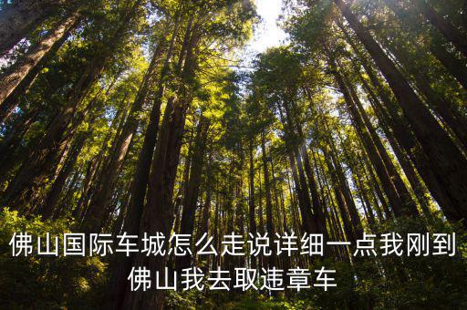 佛山國(guó)際車(chē)城怎么走說(shuō)詳細(xì)一點(diǎn)我剛到佛山我去取違章車(chē)