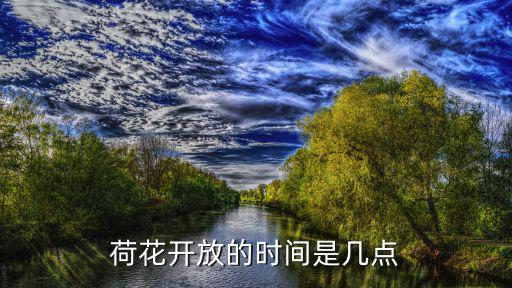 荷花開放的時間是幾點
