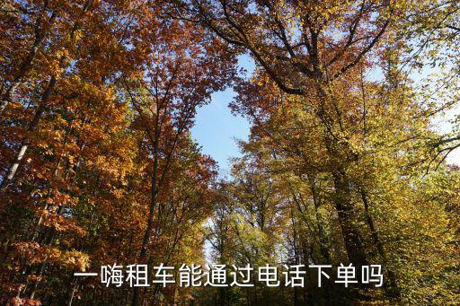 一嗨租車能通過電話下單嗎