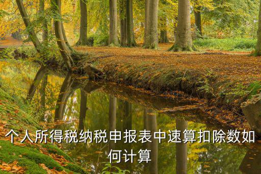 個人所得稅納稅申報表中速算扣除數如何計算