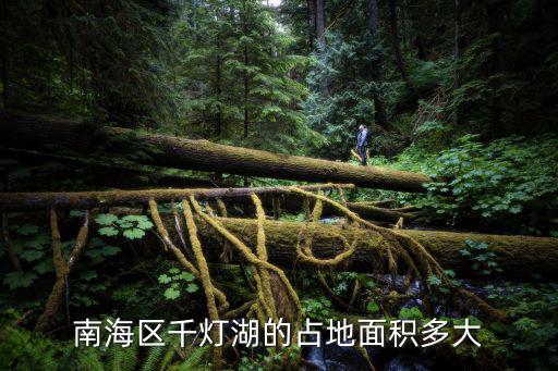 南海區千燈湖的占地面積多大