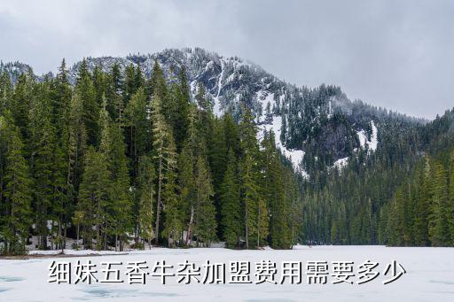 細妹五香牛雜加盟費用需要多少