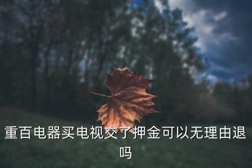 重百電器，重百電器解放碑旗艦店地址