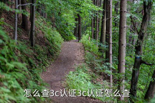 怎么查3c認(rèn)證3c認(rèn)證怎么查