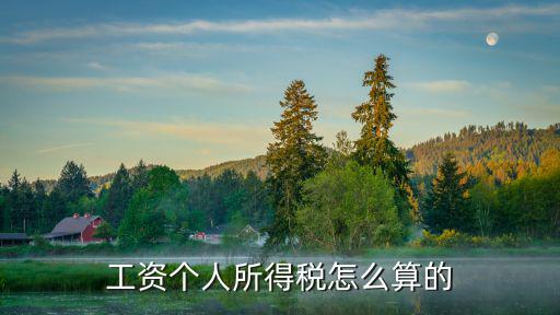 個(gè)人所得稅算法，工資個(gè)人所得稅怎么算的