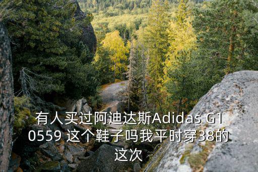 有人買過阿迪達斯Adidas G10559 這個鞋子嗎我平時穿38的這次