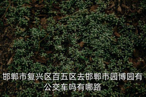 邯鄲市復(fù)興區(qū)百五區(qū)去邯鄲市園博園有公交車嗎有哪路