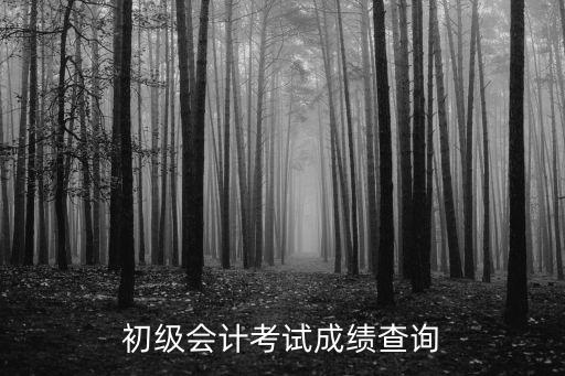 初級會計考試成績查詢