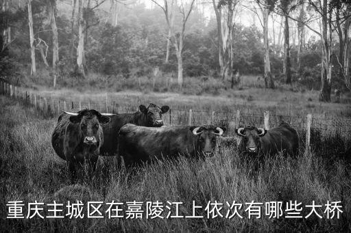 重慶主城區(qū)在嘉陵江上依次有哪些大橋