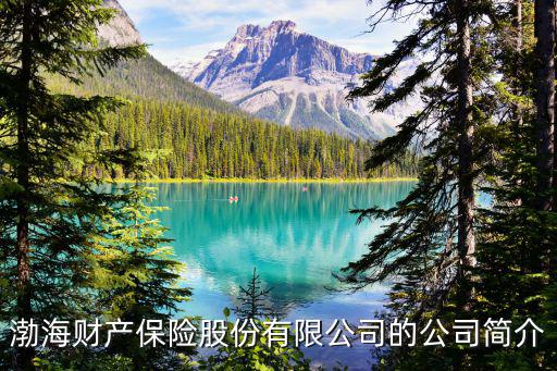 渤海財產保險股份有限公司的公司簡介