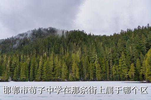 邯鄲市荀子中學在那條街上屬于哪個區