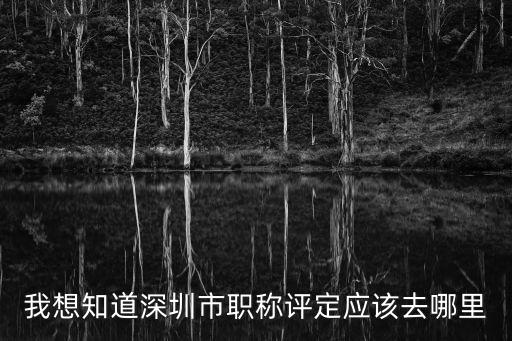 我想知道深圳市職稱評定應該去哪里