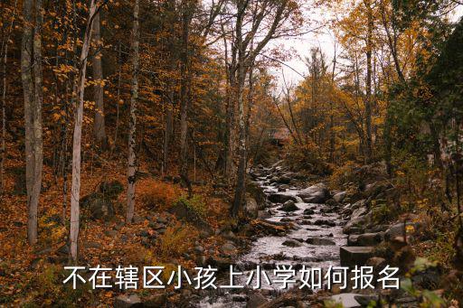 不在轄區(qū)小孩上小學(xué)如何報(bào)名