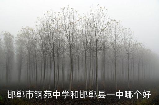 邯鄲市鋼苑中學和邯鄲縣一中哪個好