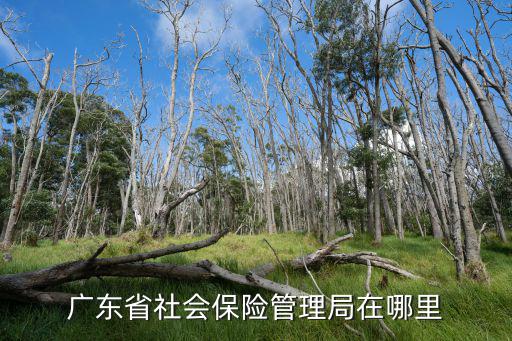廣東省社會保險管理局在哪里