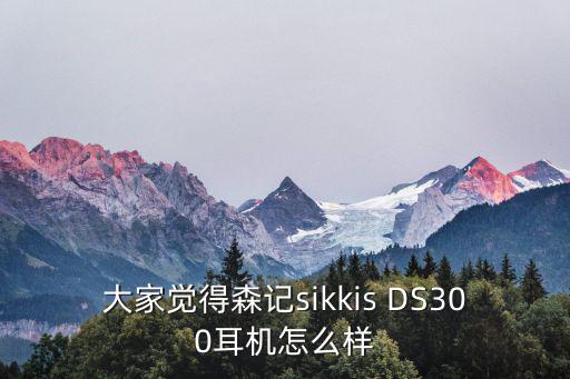 大家覺得森記sikkis DS300耳機怎么樣