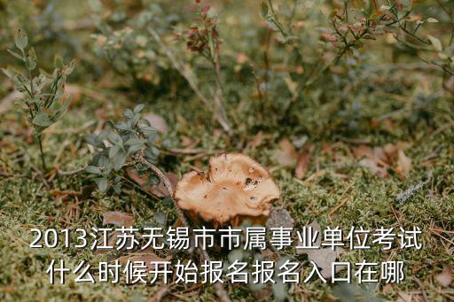 2013江蘇無錫市市屬事業單位考試什么時候開始報名報名入口在哪