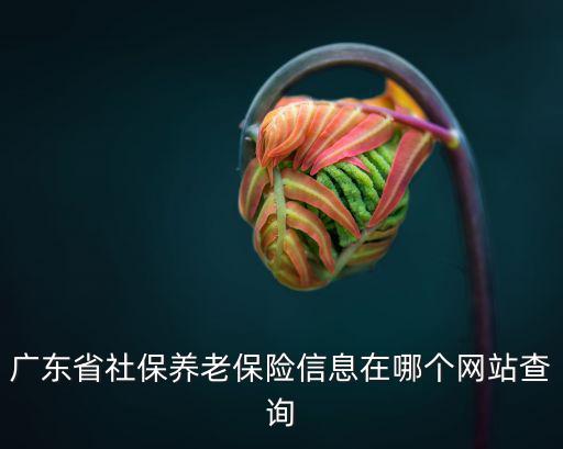 廣東省社保養(yǎng)老保險(xiǎn)信息在哪個(gè)網(wǎng)站查詢