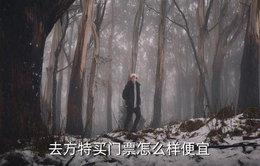 去方特買門票怎么樣便宜