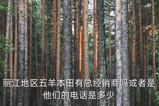 麗江地區(qū)五羊本田有總經(jīng)銷商嗎或者是他們的電話是多少