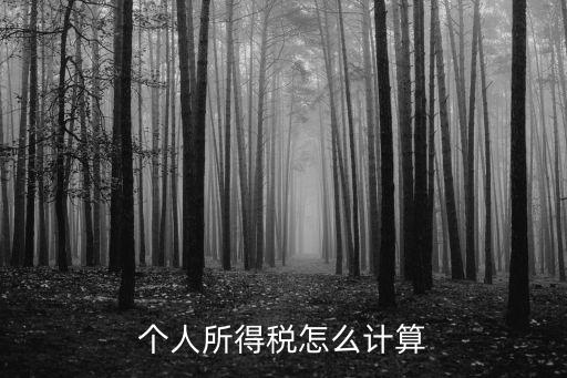 個人所的稅，個人所得稅是多少