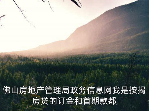 佛山房地產(chǎn)管理局政務(wù)信息網(wǎng)我是按揭房貸的訂金和首期款都
