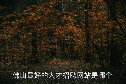 佛山最好的人才招聘網(wǎng)站是哪個(gè)