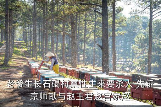 老爺生長石碣村稟性生來要殺人 先斬京師獻與趙王君趙官家趙