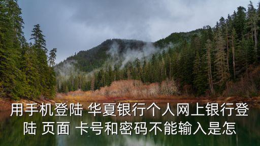 用手機登陸 華夏銀行個人網上銀行登陸 頁面 卡號和密碼不能輸入是怎
