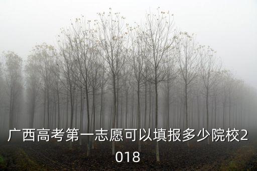 廣西高考第一志愿可以填報多少院校2018