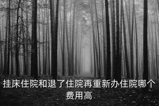 掛床住院，用藥半個月住三個月院保險公司說掛床