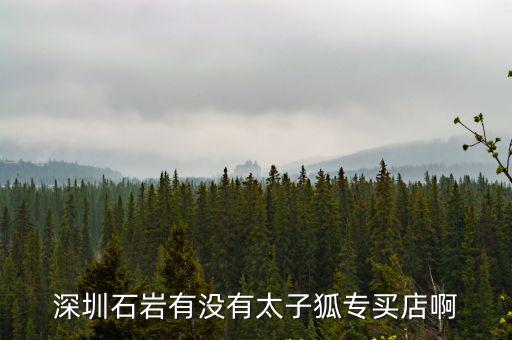 深圳石巖有沒(méi)有太子狐專買(mǎi)店啊