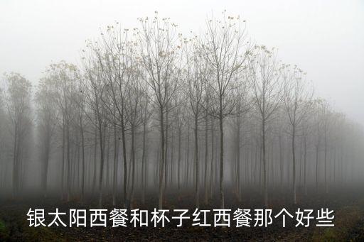 銀太陽，剛才看到有人說QQ銀音速銀太陽之類的 什么東東 說下 有嗎
