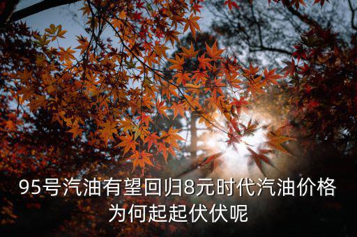 95號汽油有望回歸8元時代汽油價格為何起起伏伏呢