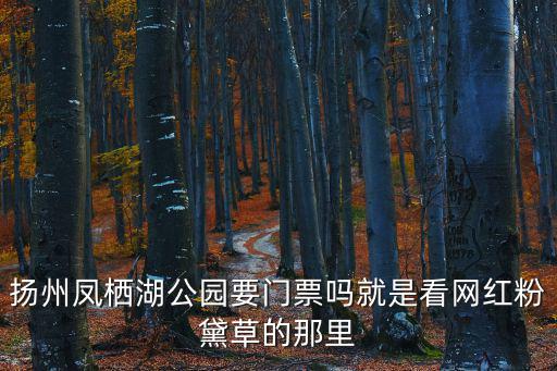 揚州鳳棲湖公園要門票嗎就是看網紅粉黛草的那里