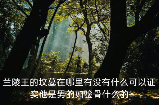 蘭陵王的墳?zāi)乖谀睦镉袥]有什么可以證實(shí)他是男的如驗(yàn)骨什么的