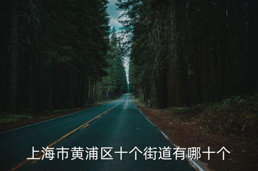 上海市黃浦區十個街道有哪十個