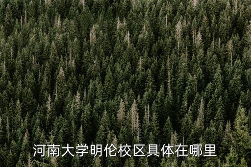 河南大學明倫校區，河南大學明倫校區的宿舍情況