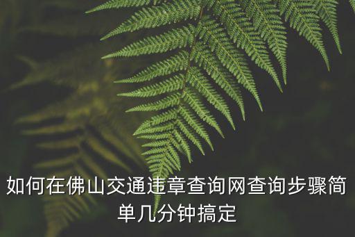 如何在佛山交通違章查詢網(wǎng)查詢步驟簡單幾分鐘搞定