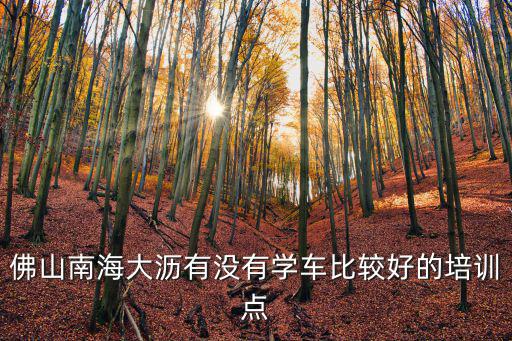 佛山南海大瀝有沒有學車比較好的培訓點