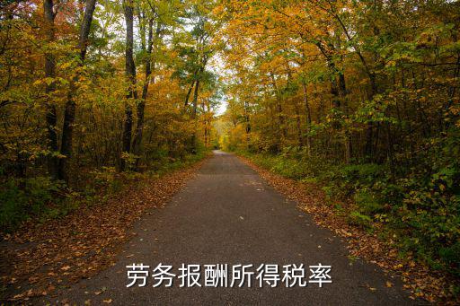 勞務(wù)報酬所得稅率
