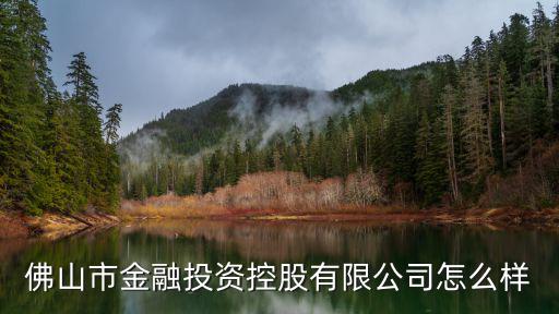 佛山市金融投資控股有限公司怎么樣