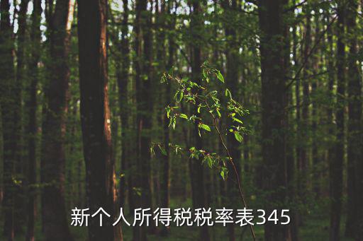 新個人所得稅稅率表345