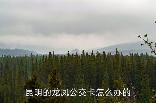 怎么辦公交卡，昆明的龍鳳公交卡怎么辦的
