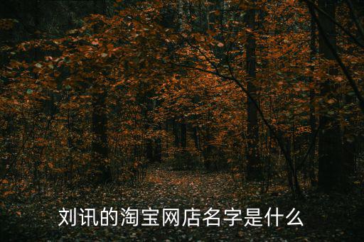 劉訊，劉訊的淘寶網(wǎng)店名字是什么