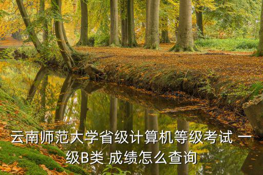 云南師范大學省級計算機等級考試 一級B類 成績怎么查詢