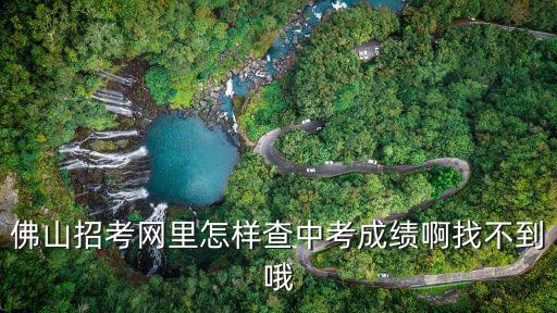 佛山招考網(wǎng)里怎樣查中考成績啊找不到哦