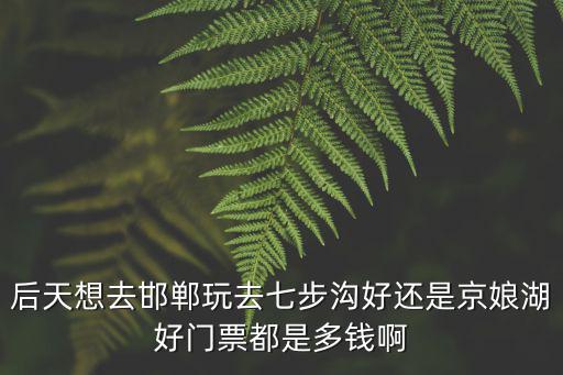 后天想去邯鄲玩去七步溝好還是京娘湖好門票都是多錢啊