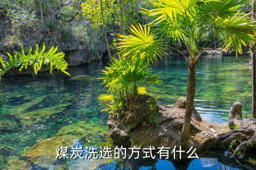 煤炭洗選的方式有什么
