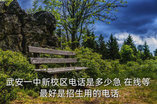 武安一中新校區(qū)電話是多少急 在線等 最好是招生用的電話